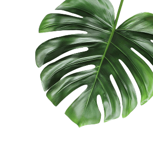 leaf-right